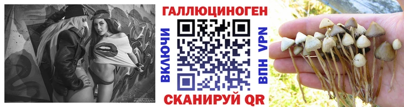 Псилоцибиновые грибы Magic Shrooms  Иноземцево 